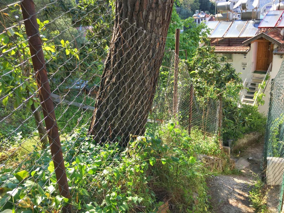 Home Dream View - Fethiye Centre Exterior foto